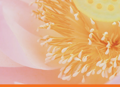 Onlineseminar GoodMorning Qigong