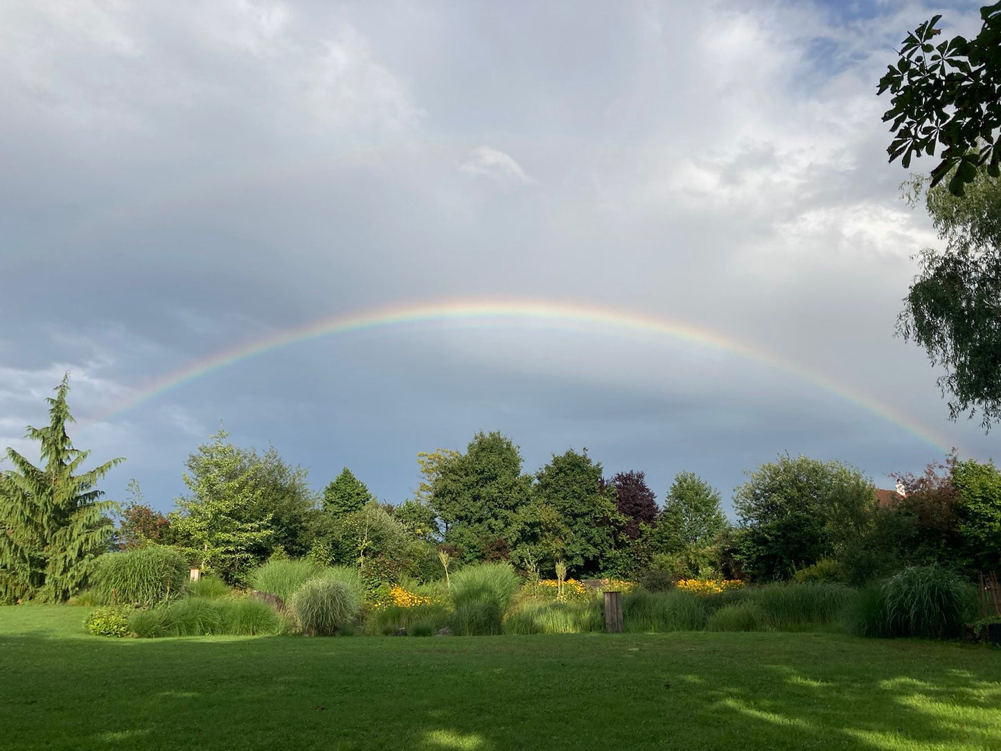 Online - Sommer-Retreat für spirituelle Transformation