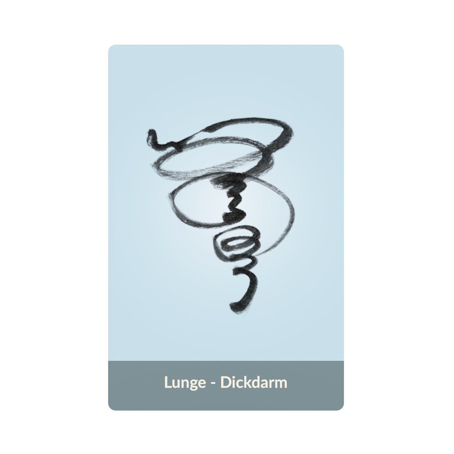 Lunge - Dickdarm