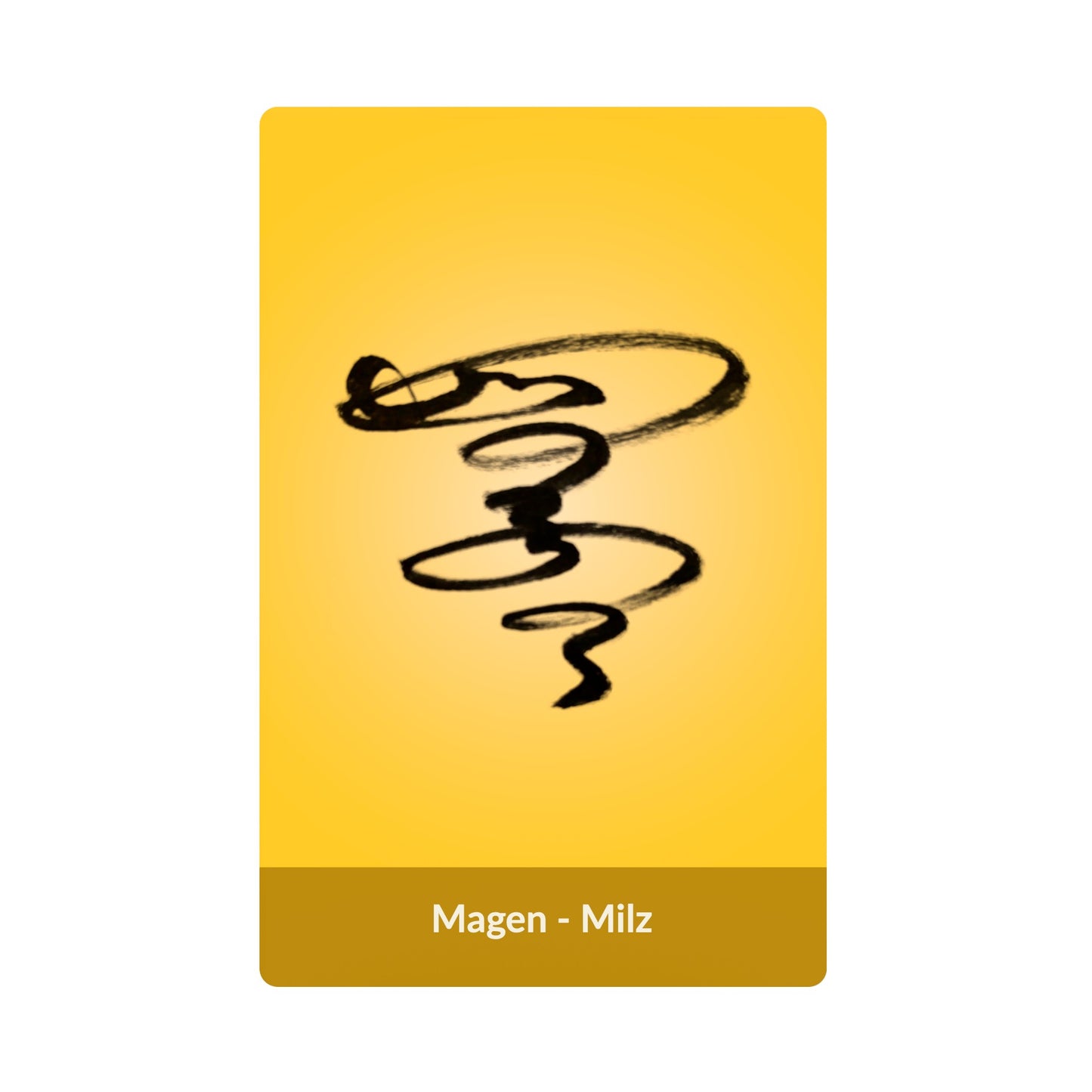 Magen - Milz