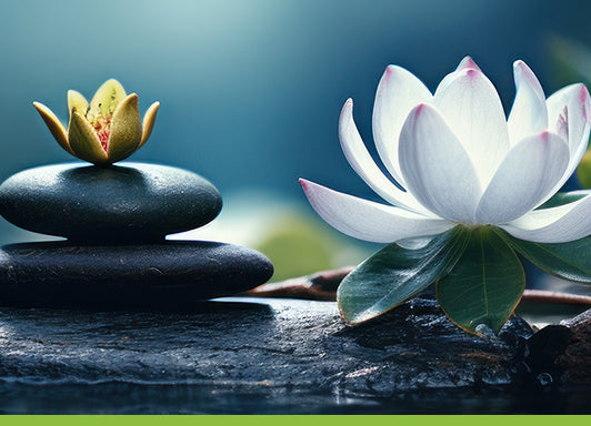 Wochenend-Onlineseminar Yin und Yang vereinen