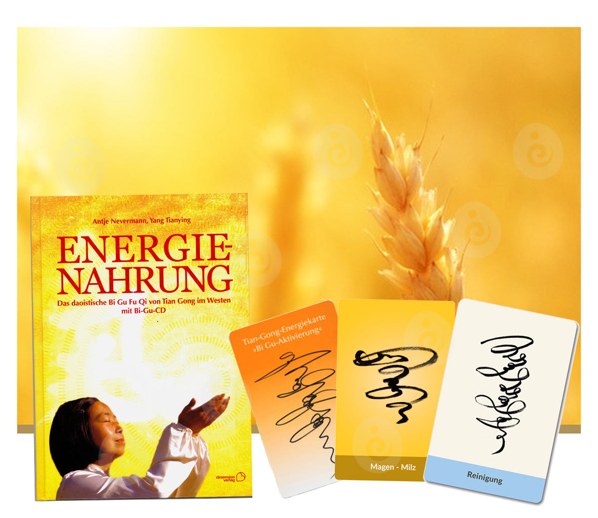 eLearning-Kurs Bi Gu Fu Qi mit Magen-Milz Qigong