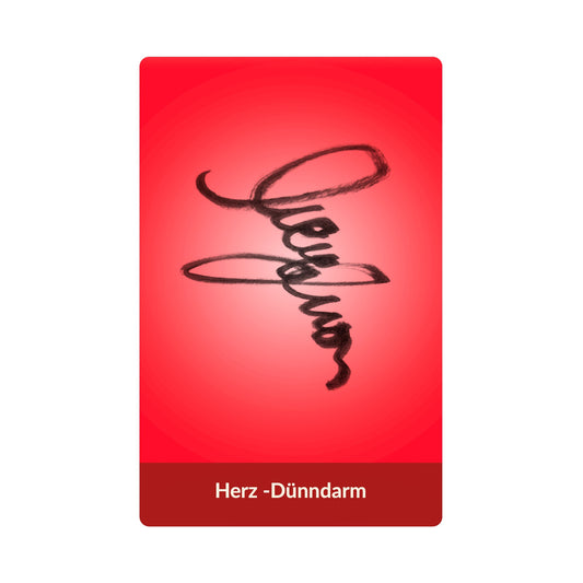 Herz - Dünndarm