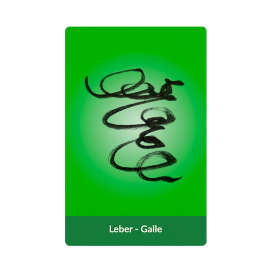 Leber - Galle