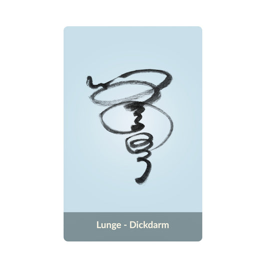 Lunge - Dickdarm