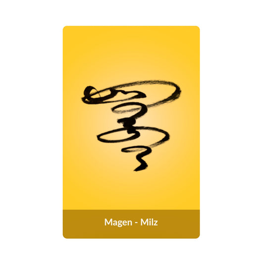 Magen - Milz