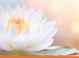 Präsenzseminar Heilung der Seele