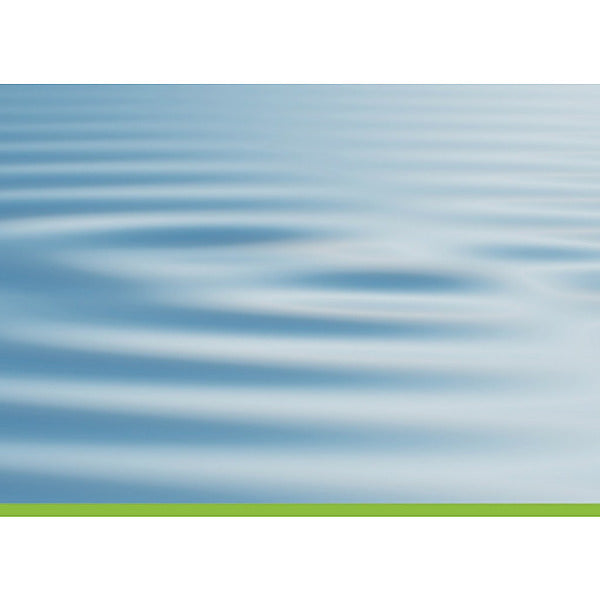 Präsenzseminar Nieren-Qigong-Bronzeglocken Qigong