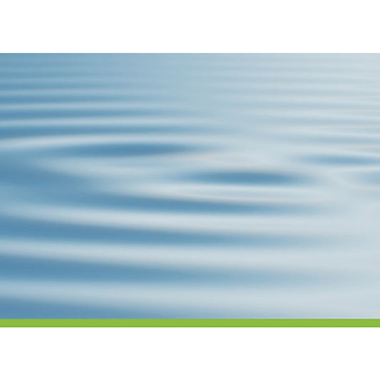 Präsenzseminar Nieren-Qigong-Bronzeglocken Qigong