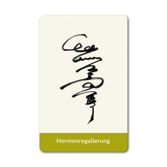 Tian Ai Qi Gong Energiekarte zur Hormonregulierung Vorderseite